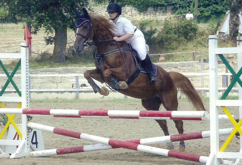 Dopo gatti e cani parliamo del Cavallo?